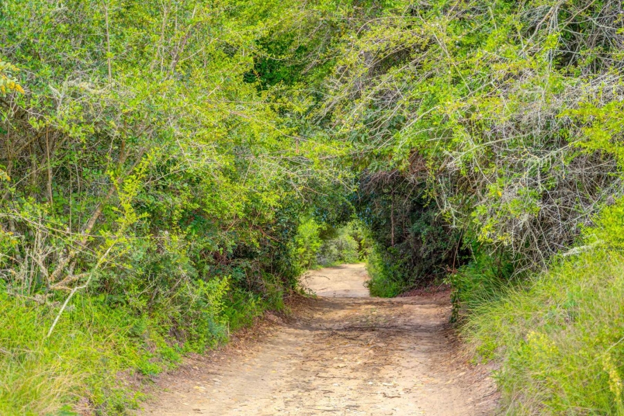 0 Bedroom Property for Sale in Knysna Rural Western Cape